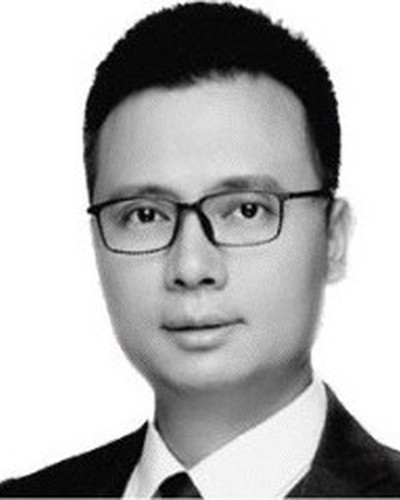Retrato de Dong Wu