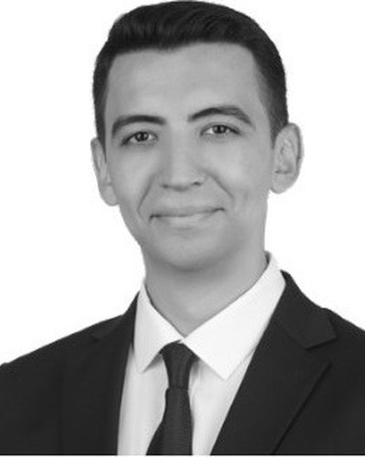 Retrato de Yiğit Narin