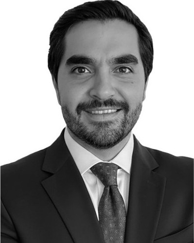 Retrato de Daniel Ramírez Herrera Lasso