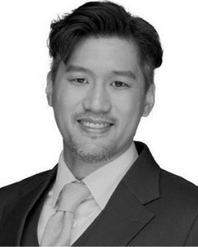 Retrato de Nicholas Ngo