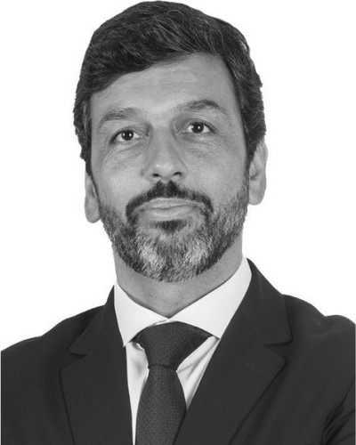 Retrato de Gonçalo Pinto Ferreira