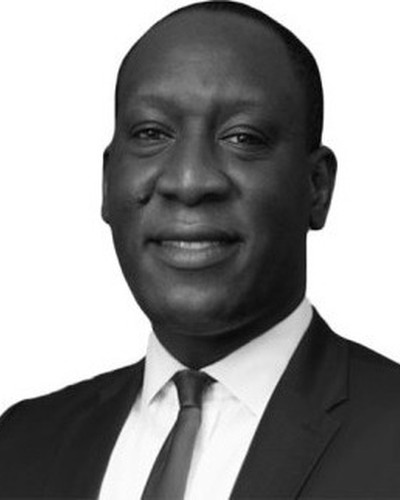 Retrato de Bidemi Olumide