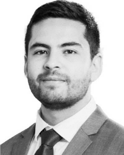Retrato de Stefano Valer